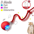 Bola interativa automática para gatos com cauda realista e recarga USB. Estimula instinto de caça, mantém seu felino ativo e entretido. Brinquedo inteligente e seguro.
